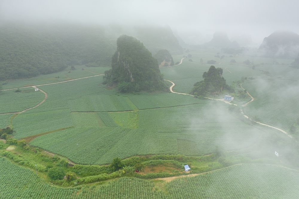 Photograph by VOON WAH WONG