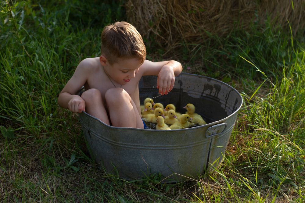 Photograph by Полина Ефимова