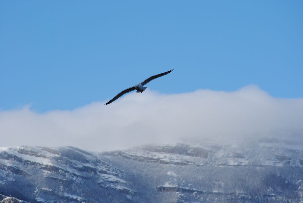 Photograph by Роман Туркин