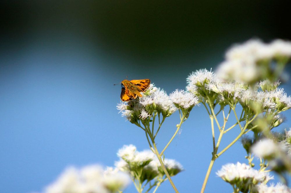 Photograph by Mario Rovina