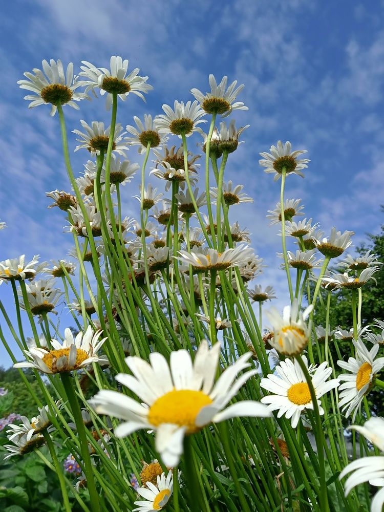 Photograph by Валентина Смирнова