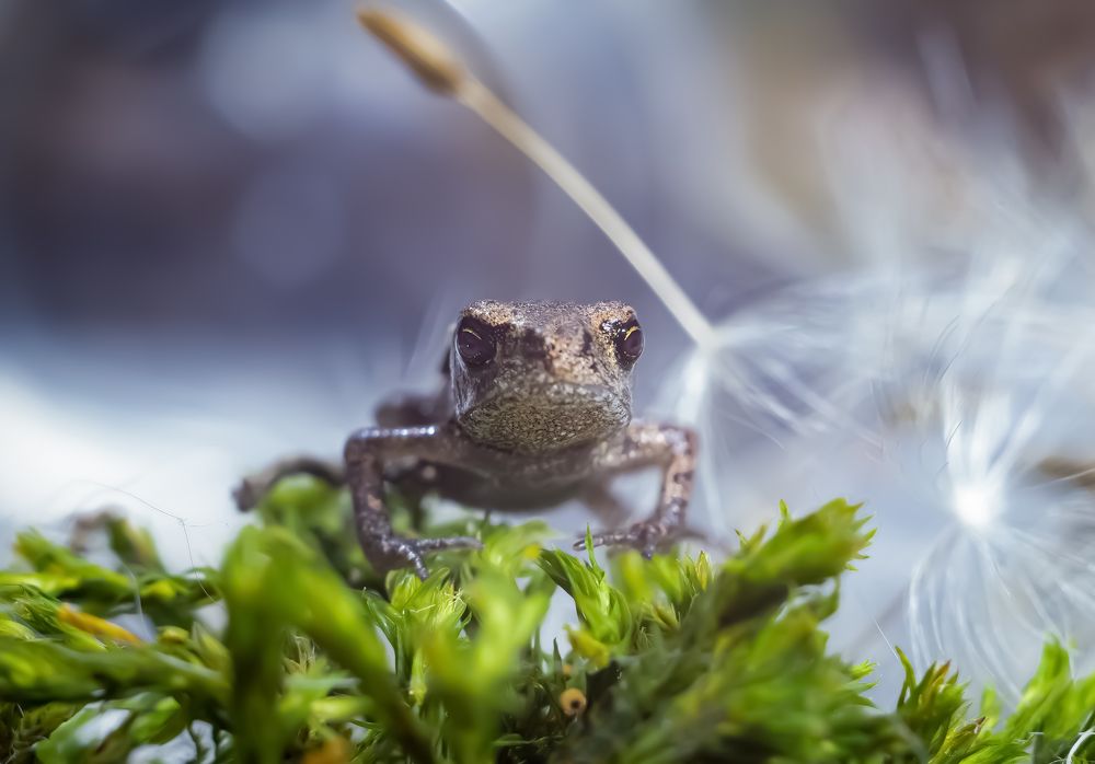 Фотография автора Черновол Валентин