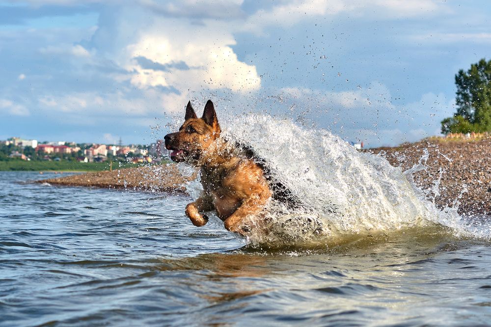 Photograph by Андрей Коротецкий