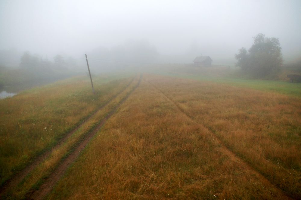 Фотография автора Васильева Дарья