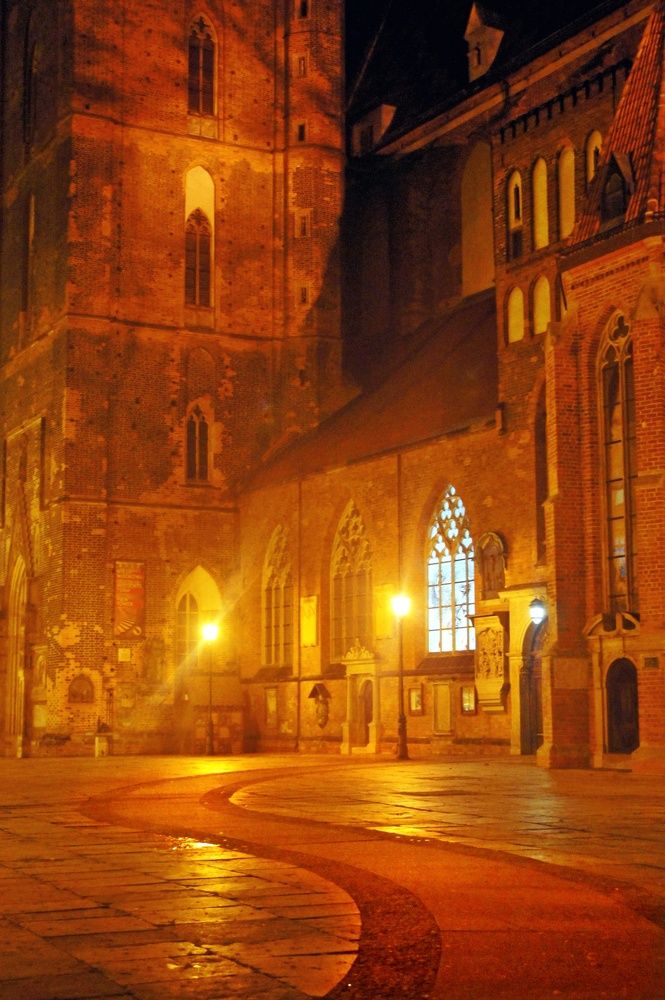Фотография автора 