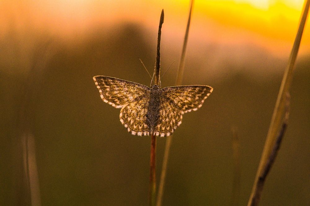 Photograph by Евгений Николаенков