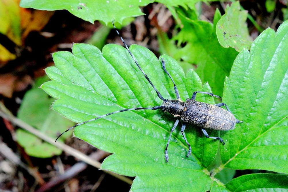 Photograph by Юрий Варюхин