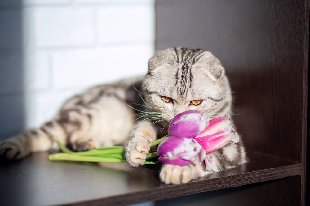 Photograph by Екатерина Кузнецова