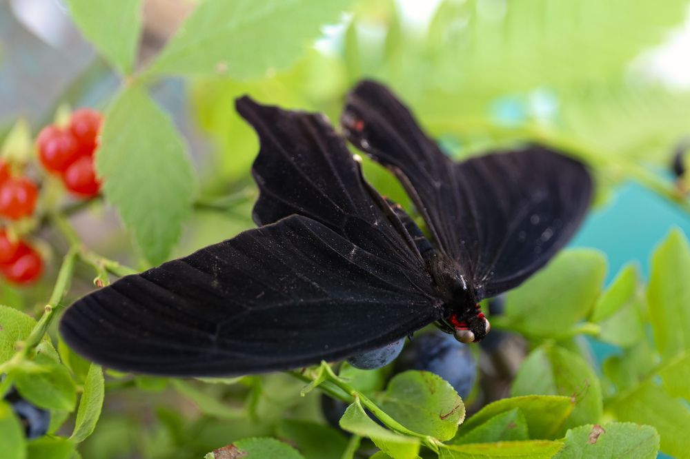 Photograph by Евгения