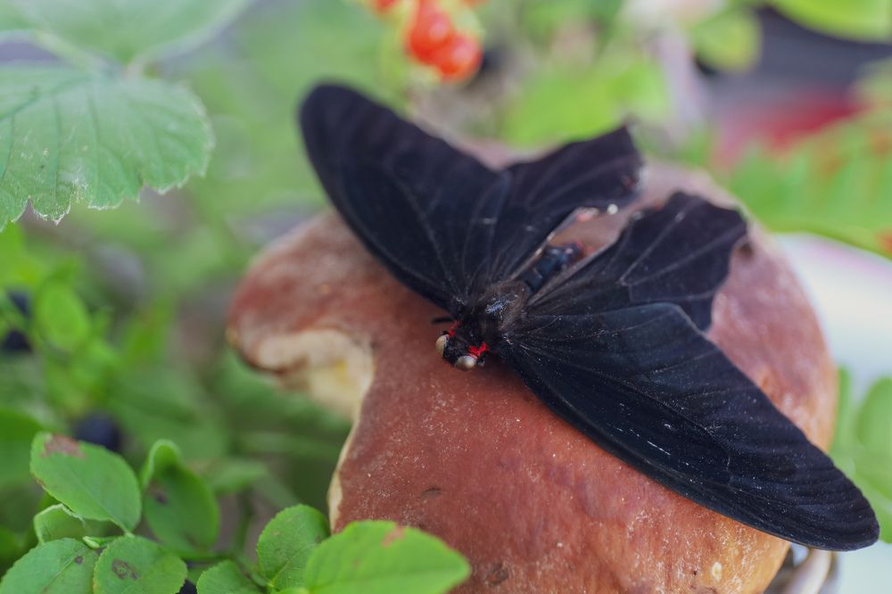 Photograph by Евгения