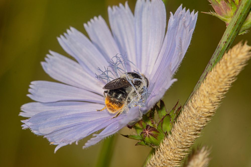 Photograph by Виталий Маслов