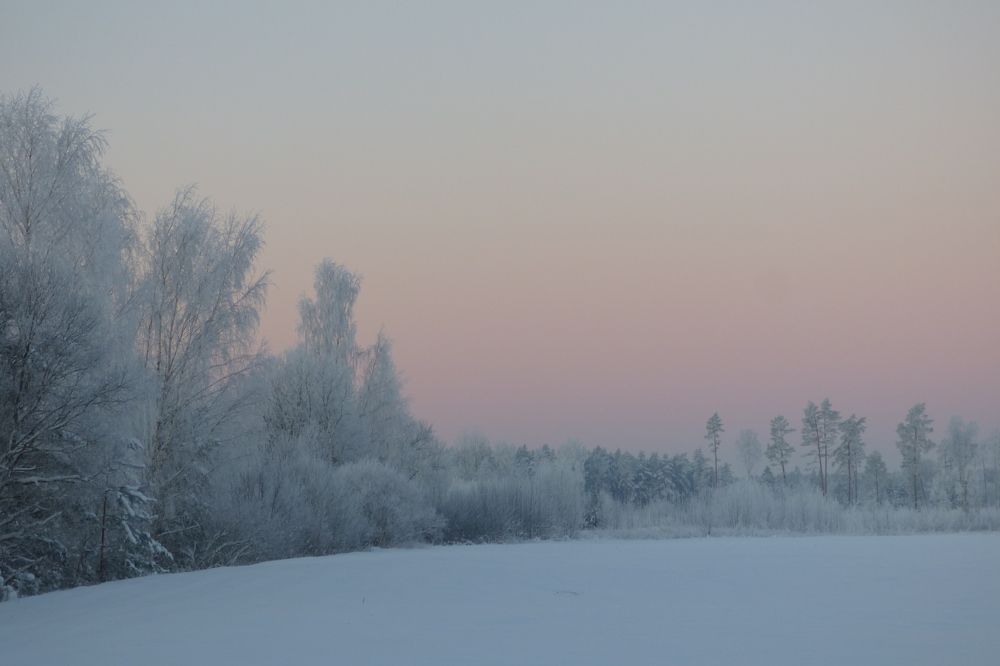 Photograph by Guzele Ivanova