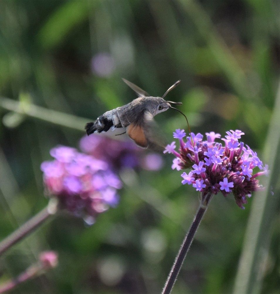 Photograph by Maiya Bulatova