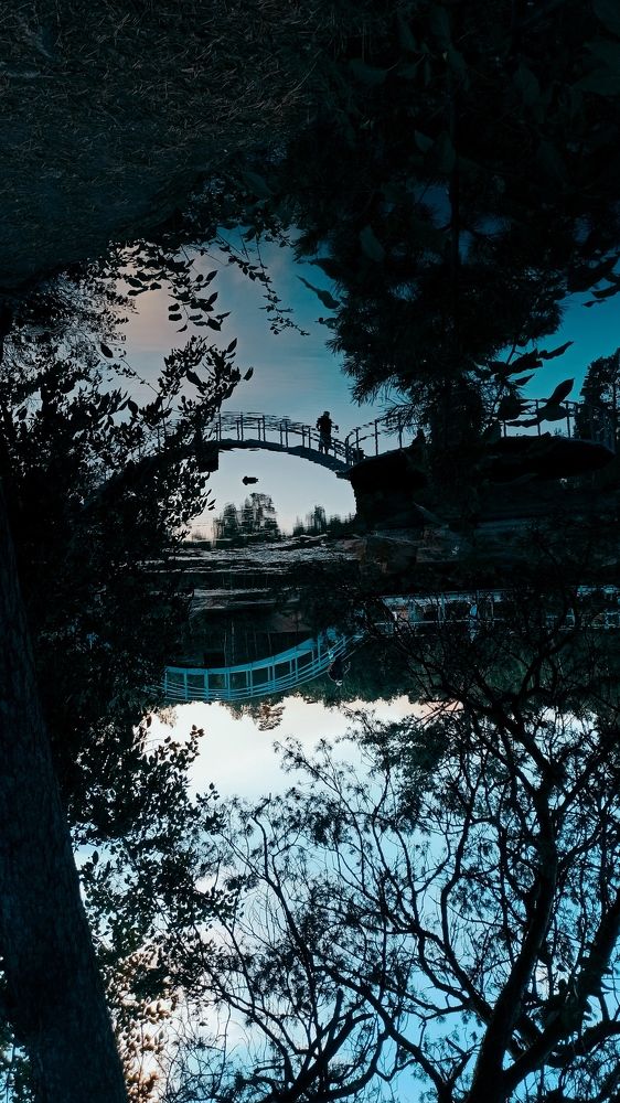 Photograph by Елена Кадаева