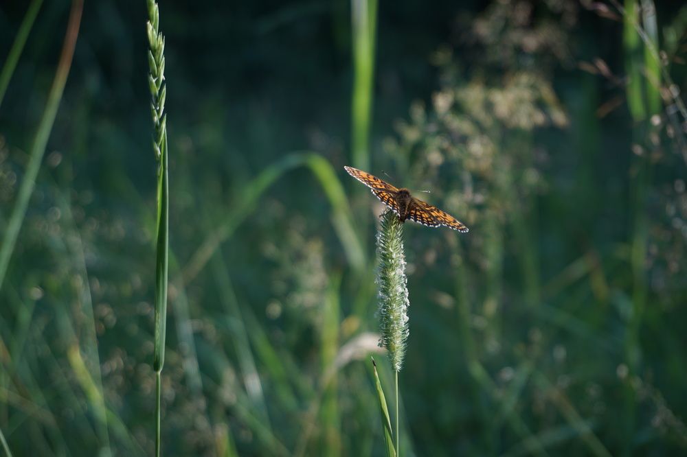 Photograph by Ольга