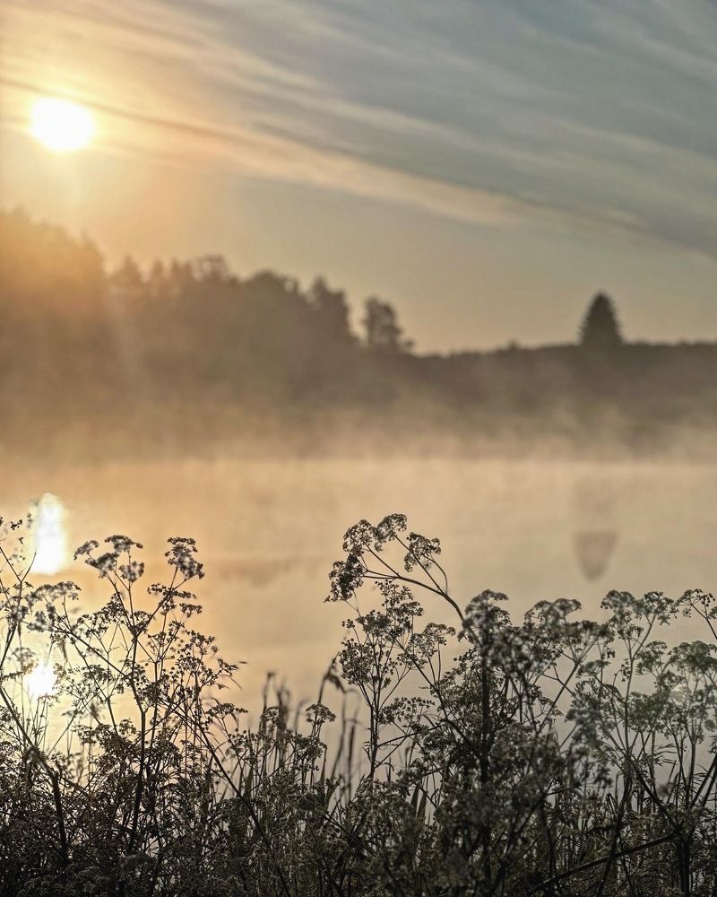 Photograph by Лариса Акинчиц