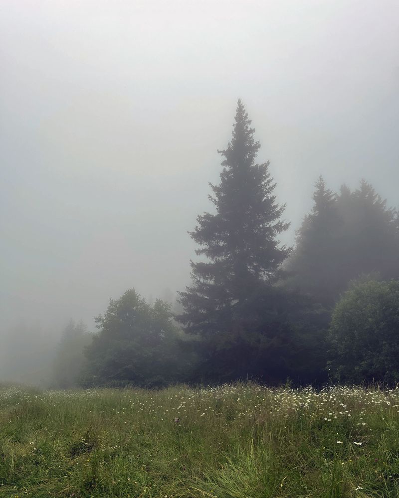 Фотография автора Nastasya Sablina