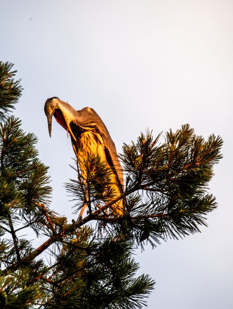 Photograph by Евгений Николаенков