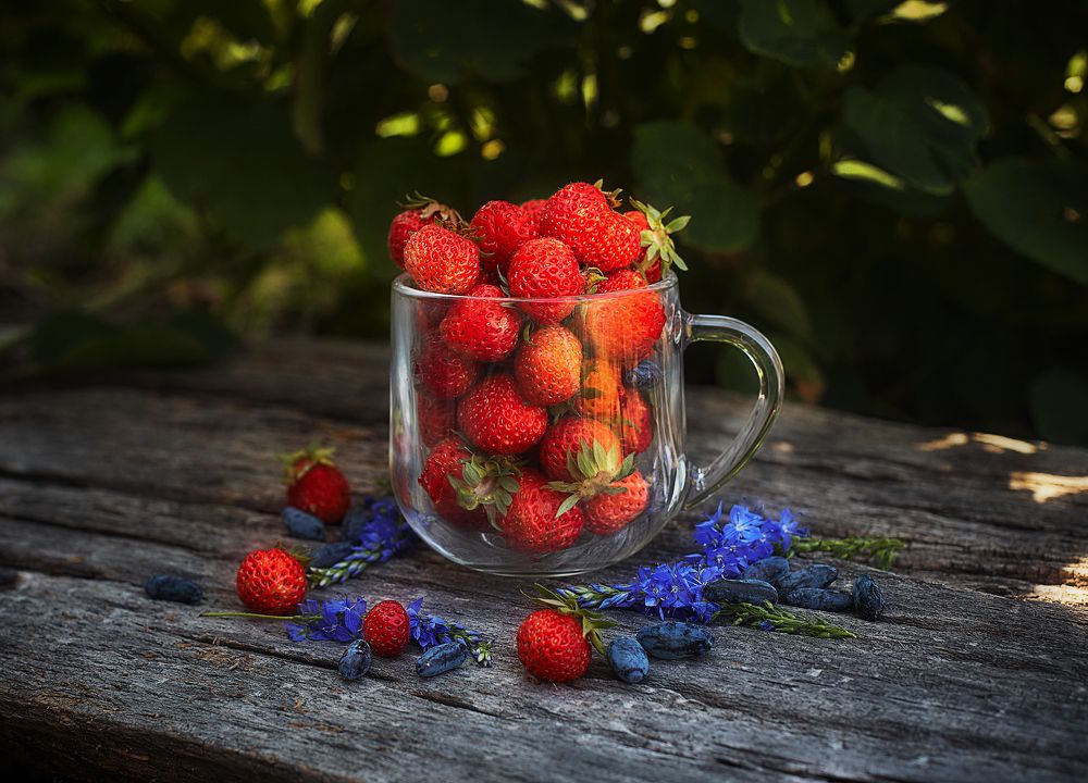 Photograph by Ткачёв Владимир