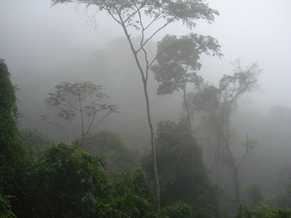 Photograph by Валентина