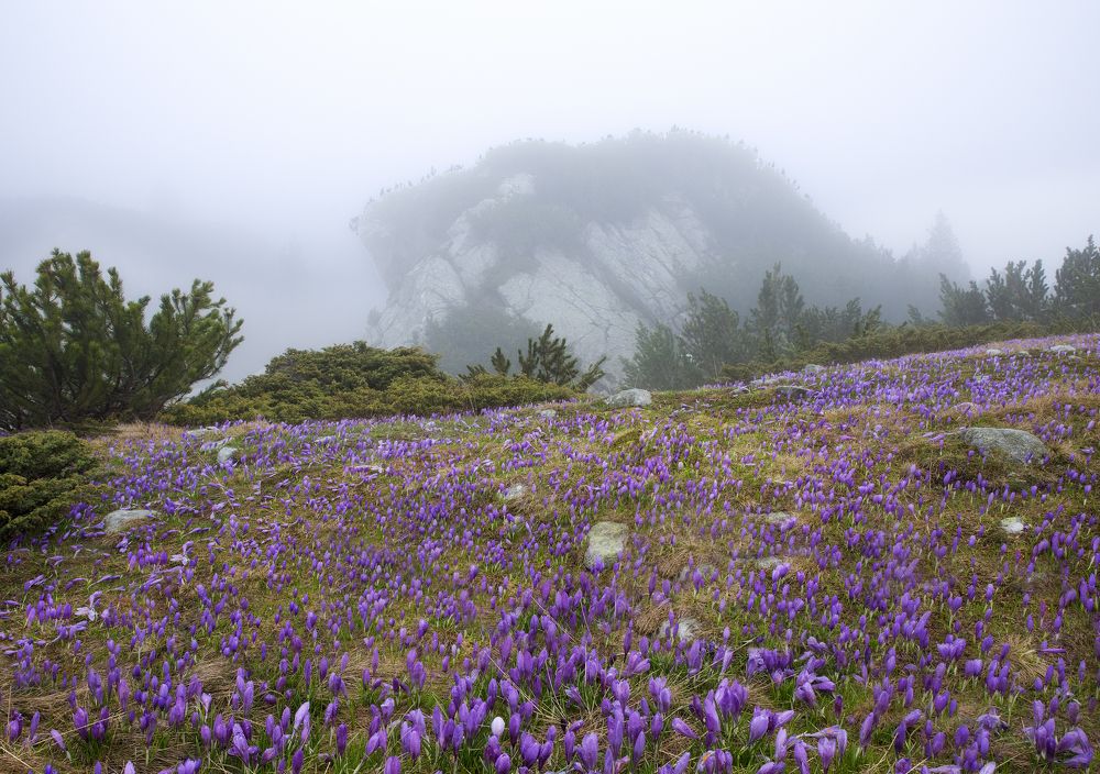 Photograph by Taтьяна Войлокова