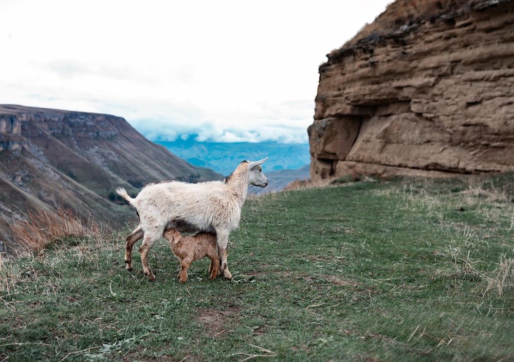 Photograph by Елена Ефимова