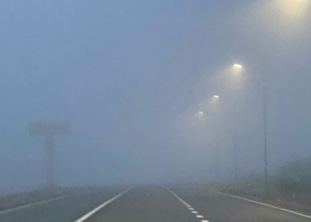 Фотография автора ГУЗАЛИЯ ГАНИЕВА