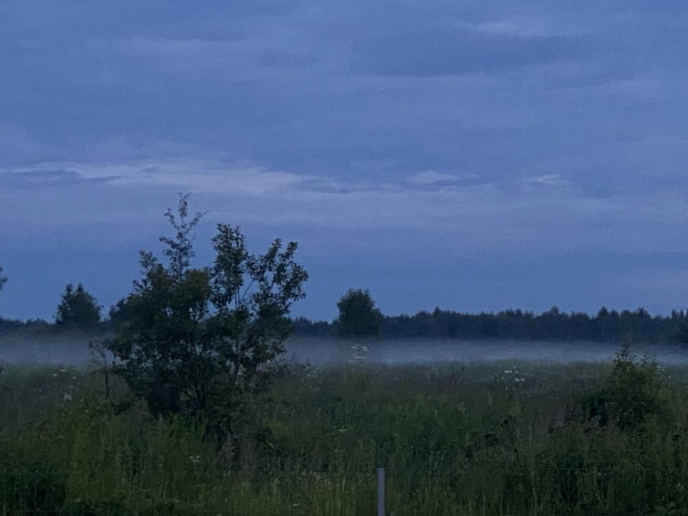 Фотография автора ГУЗАЛИЯ ГАНИЕВА