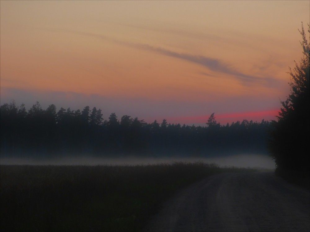 Photograph by Guzele Ivanova