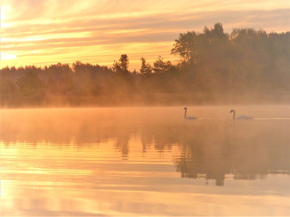 Photograph by Guzele Ivanova