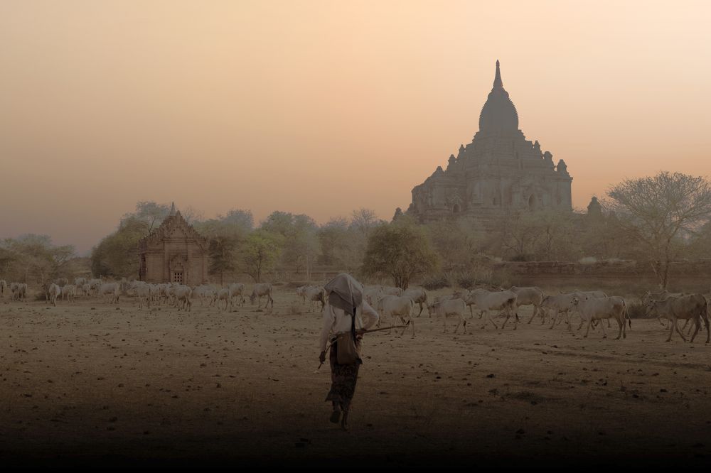 Photograph by Максимушкина Ольга