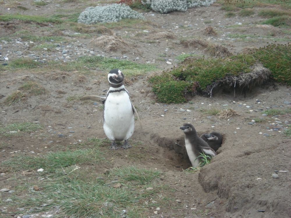 Photograph by Валентина