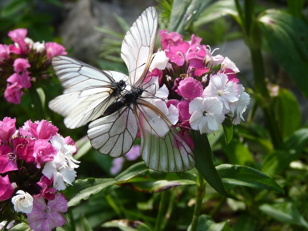 Photograph by Galina Leskova