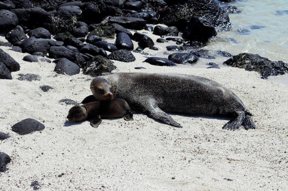 Photograph by Валентина