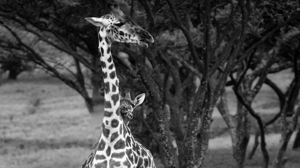 Photograph by Khazov Artem