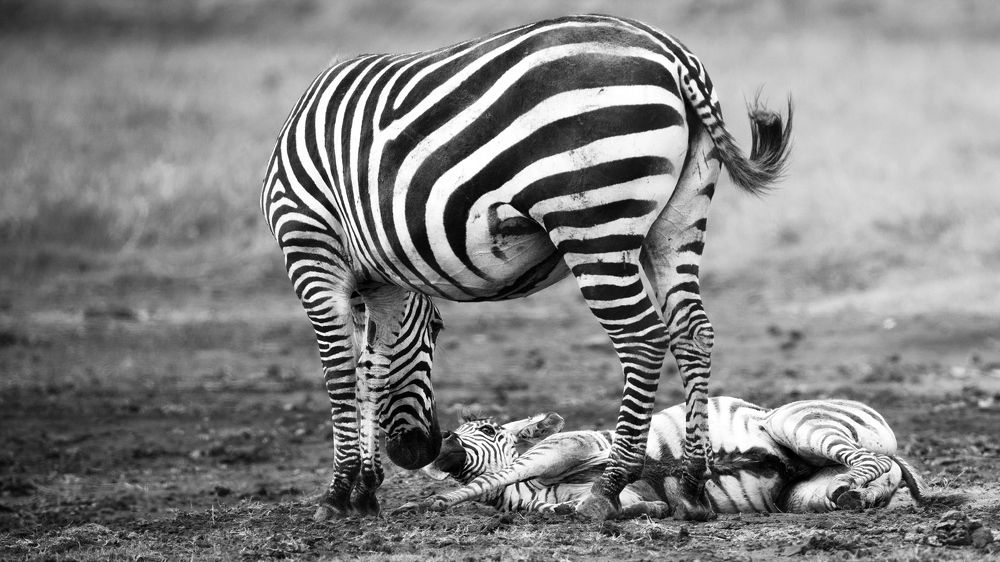 Photograph by Khazov Artem