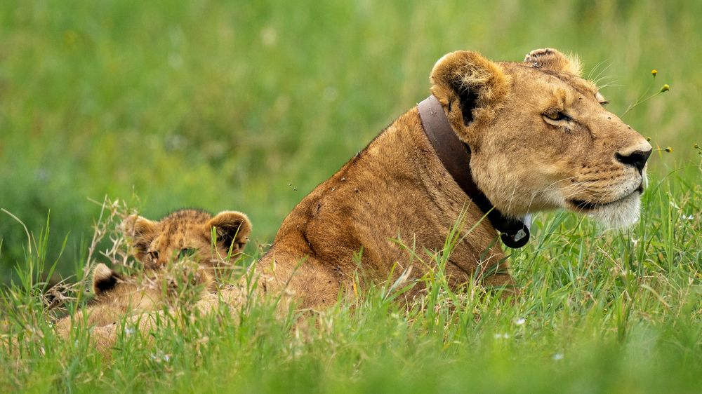 Photograph by Khazov Artem