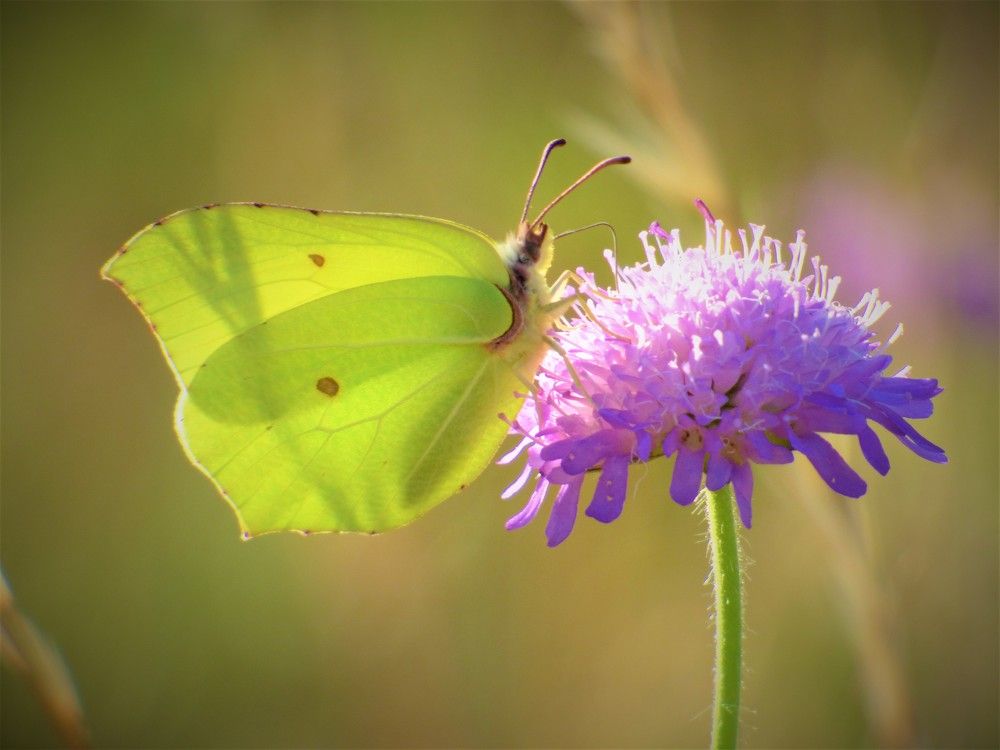 Photograph by Guzele Ivanova