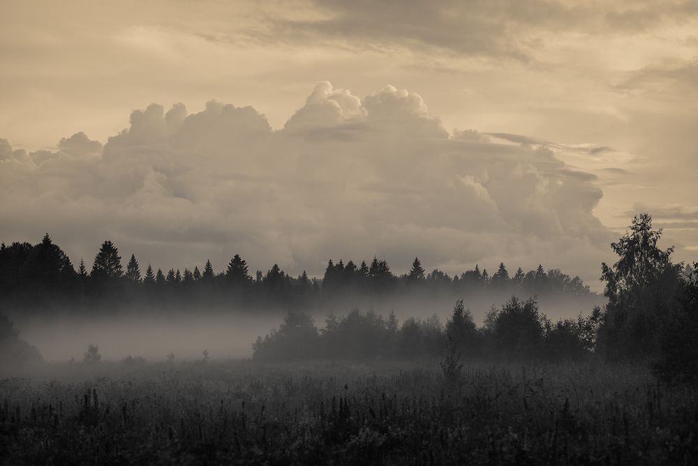 Фотография автора Михаил Кабанов