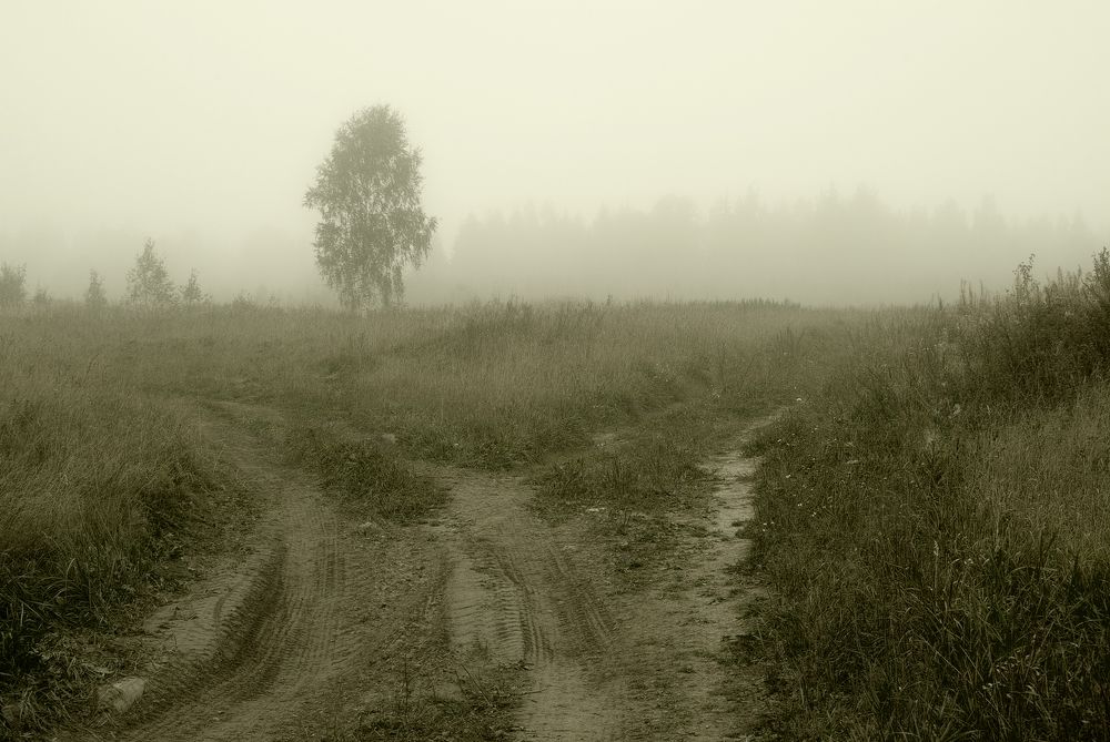 Фотография автора Михаил Кабанов