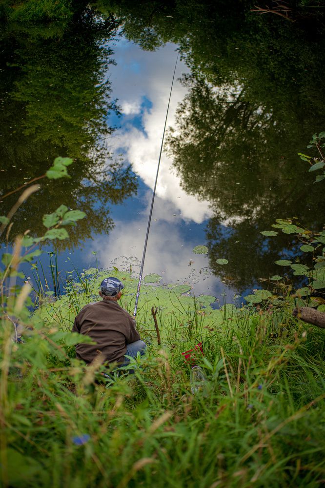 Photograph by Сергей Забиякин