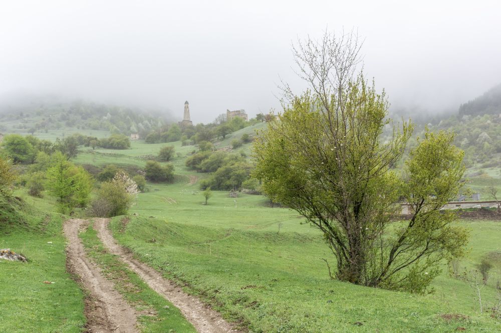 Фотография автора Илья Большаков
