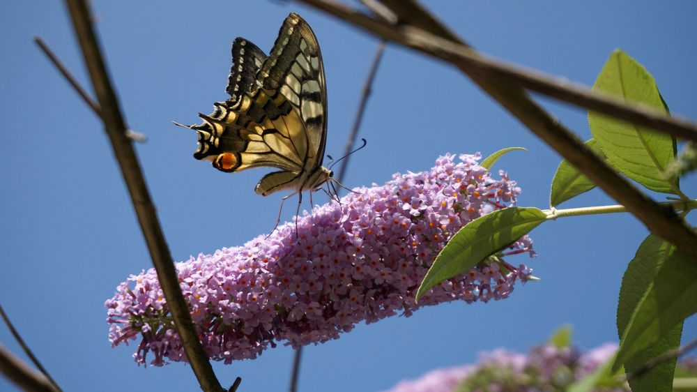 Photograph by Анастасия Морозова