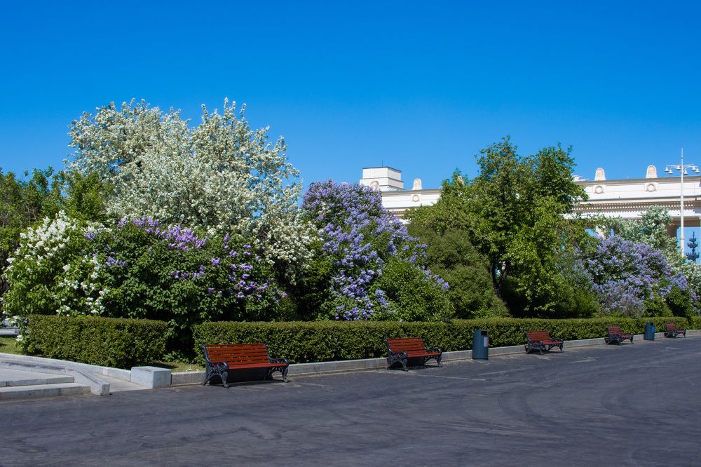 Photograph by Сергей Щербаков