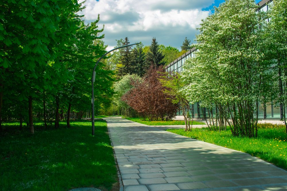 Photograph by Сергей Щербаков