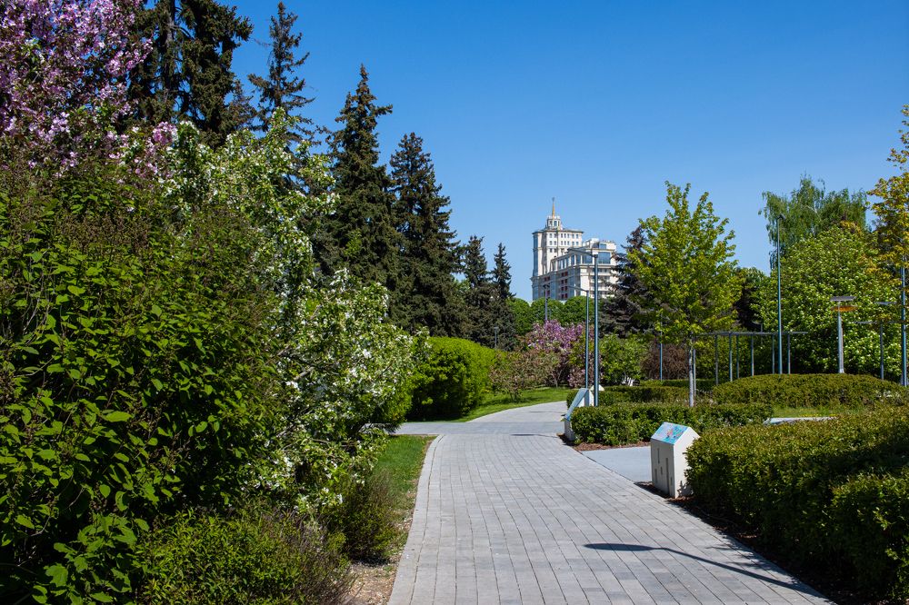 Photograph by Сергей Щербаков