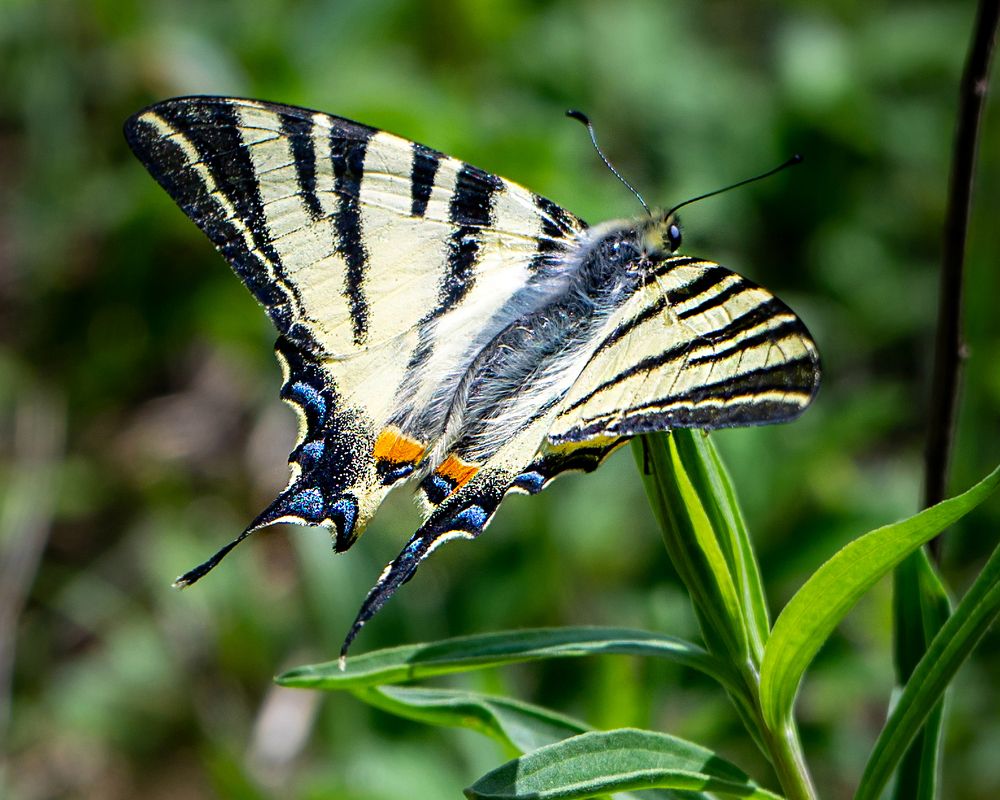 Photograph by Анна