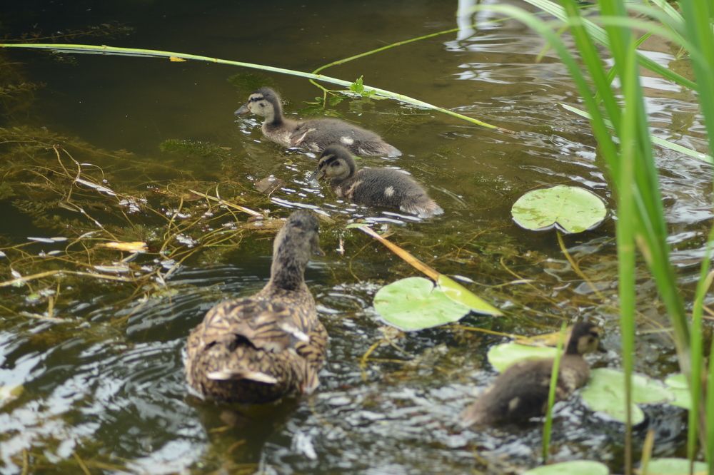 Photograph by Ольга Истомина