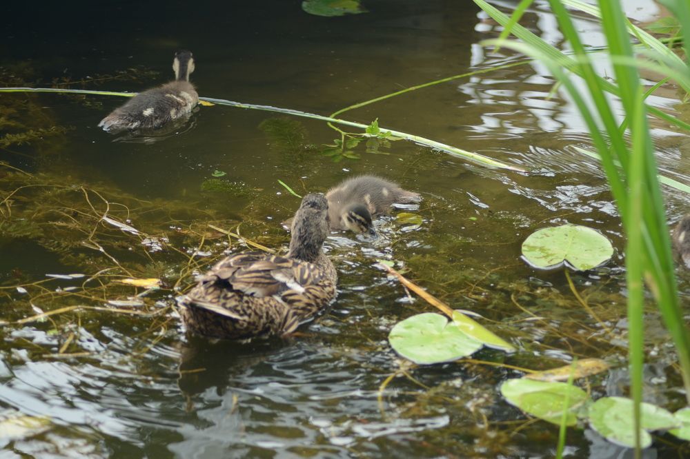 Photograph by Ольга Истомина