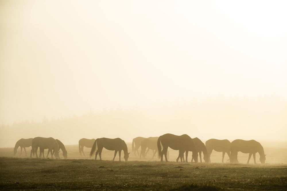 Photograph by Antonín Dudek